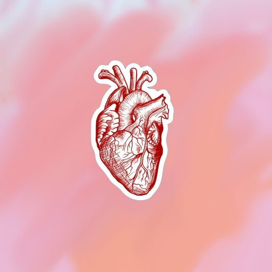 sticker corazon anatomico